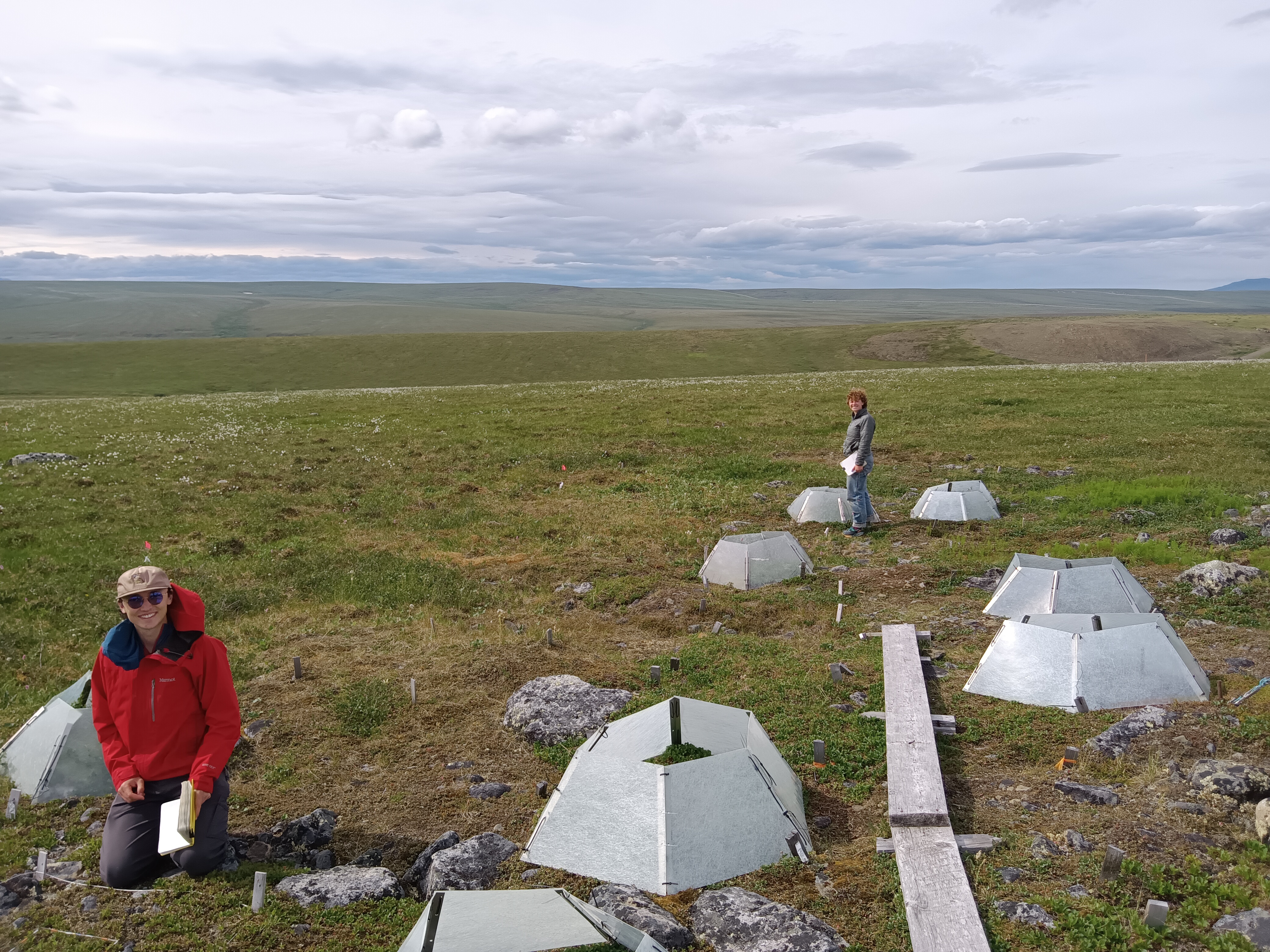 Research student Zach Ginn (’23) and Luca Keon (’25) record floral phenology in warmed and control plots. 